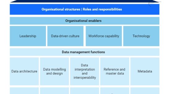 Data Governance Model